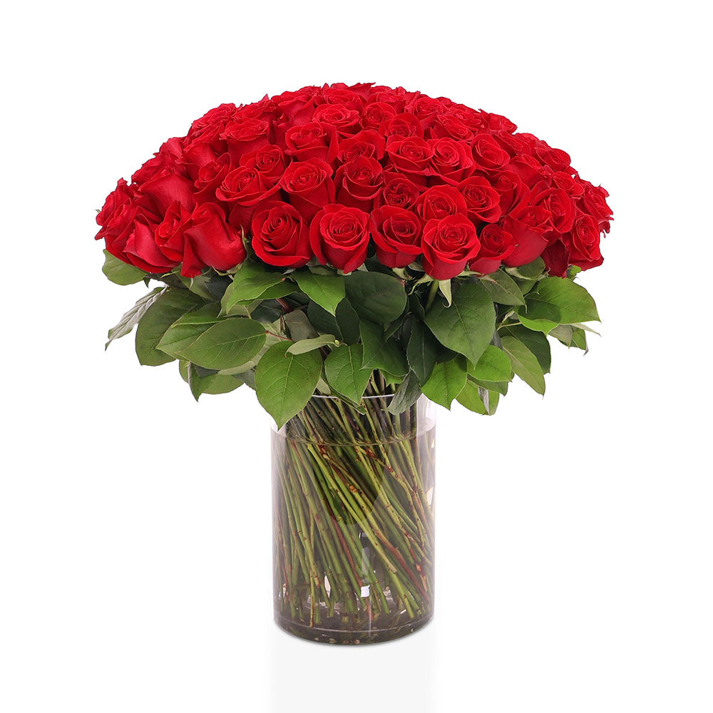 50 / 100 /200 ROSES