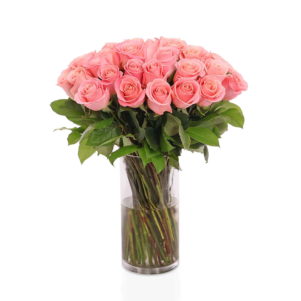 50 / 100 /200 ROSES