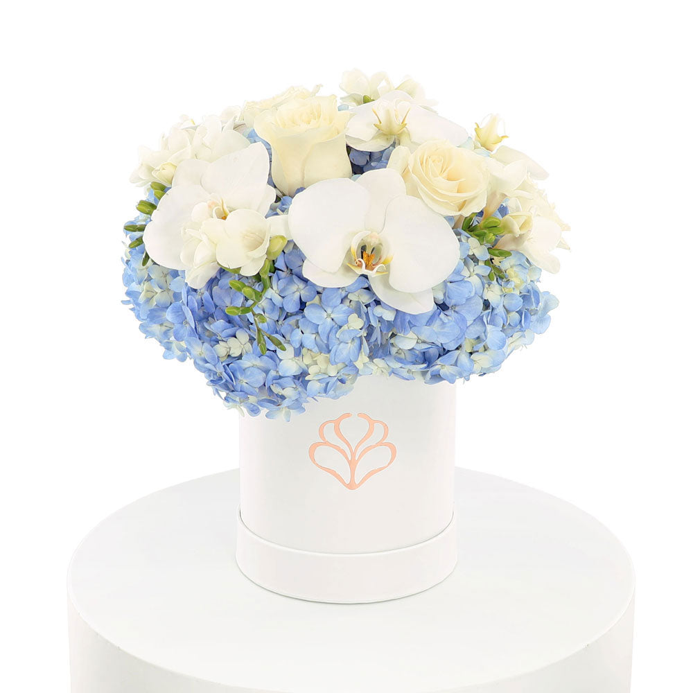 Coco Blue
