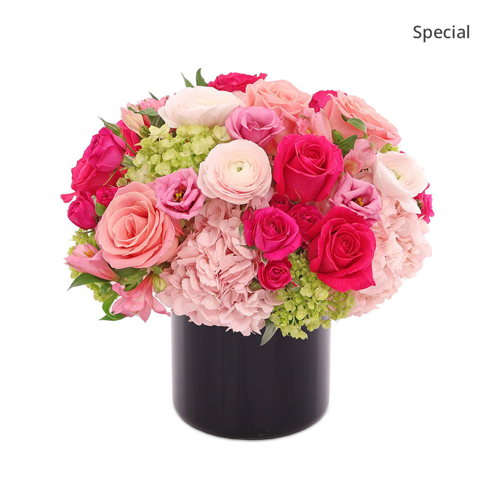 Jardin Pink