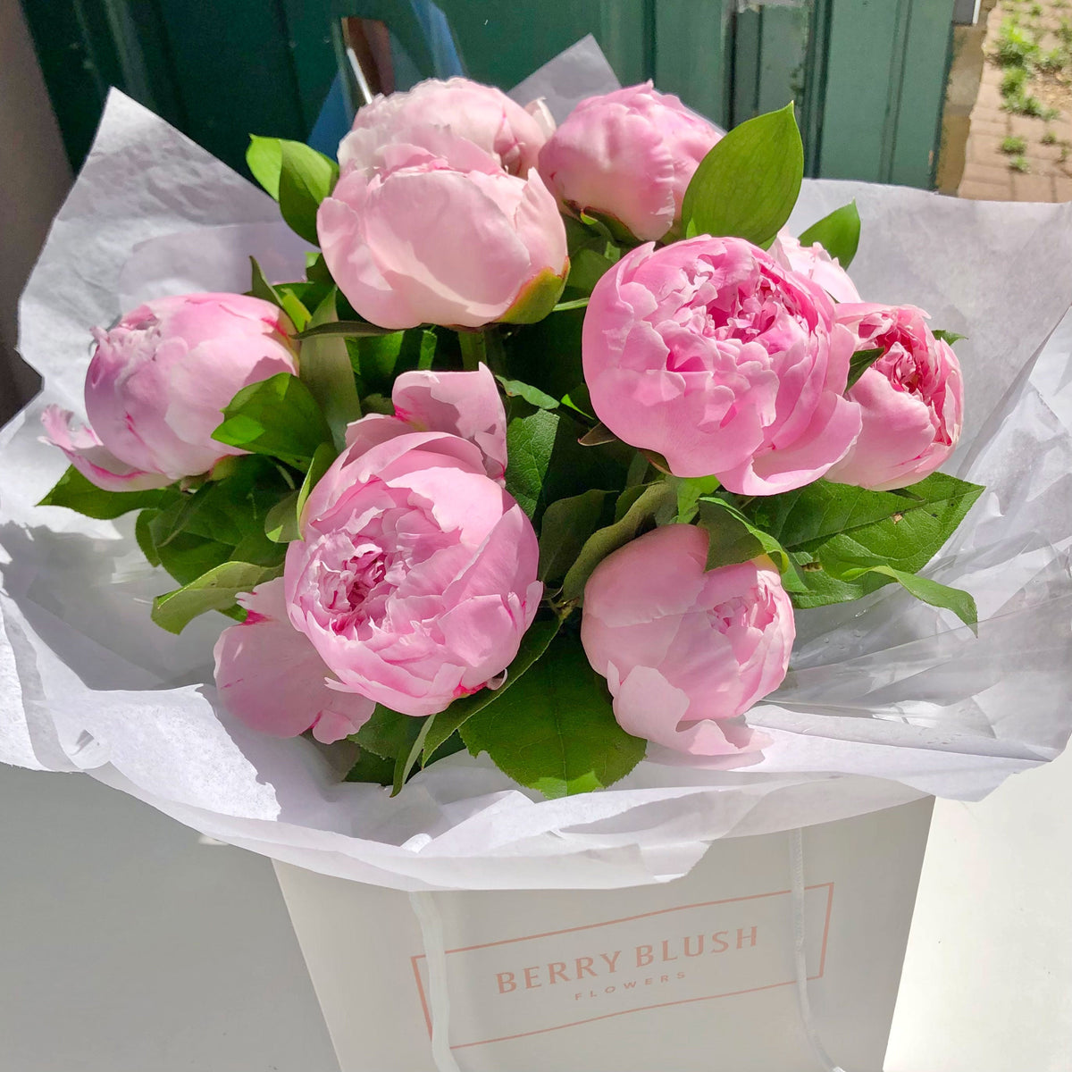 PEONY IN AUTUMN