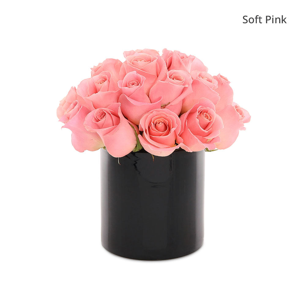 Velvet Rose