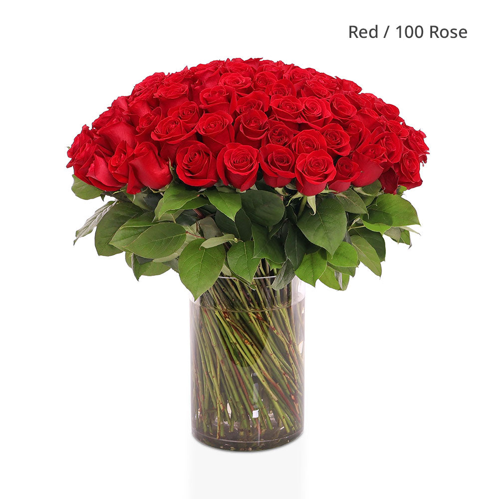 50 / 100 /200 ROSES