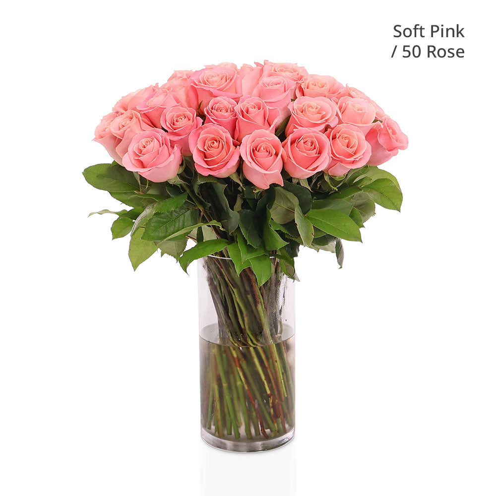 50 / 100 /200 ROSES