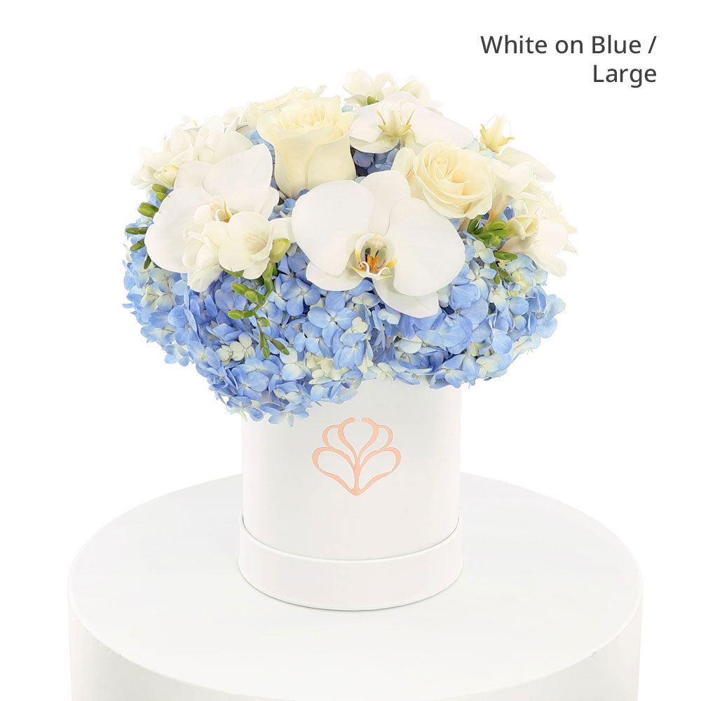 Coco Blue