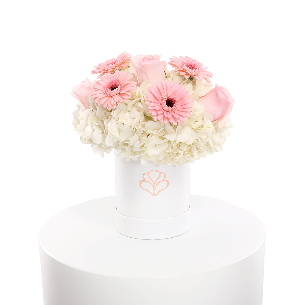 DAISY CREAM