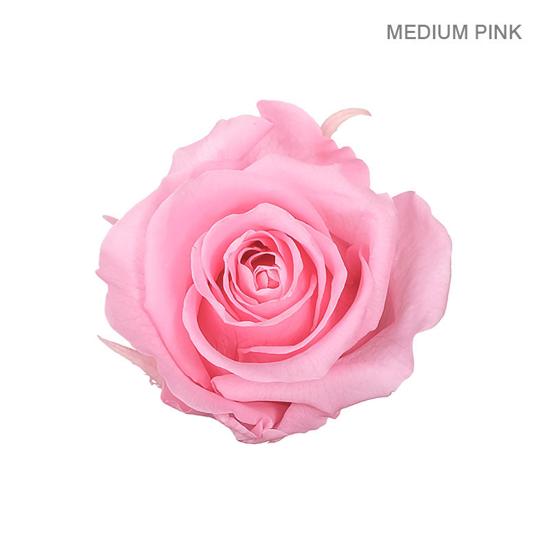 ROSE ETERNAL 9