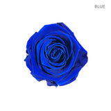 ROSE ETERNAL 9