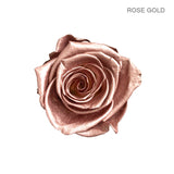 ROSE ETERNAL 4
