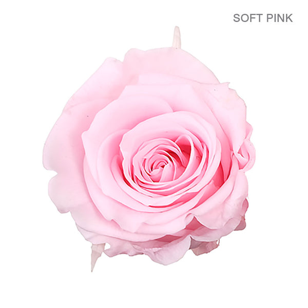 ROSE ETERNAL 9