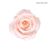 ROSE ETERNAL 9