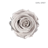 EVER BLOOM ONE