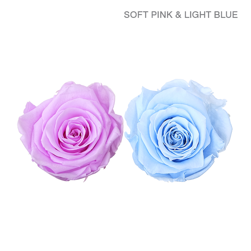 EVER BLOOM 25