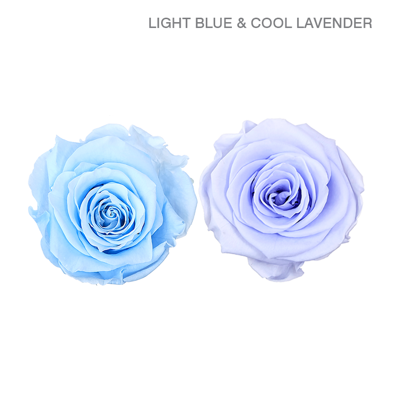 EVER BLOOM 25