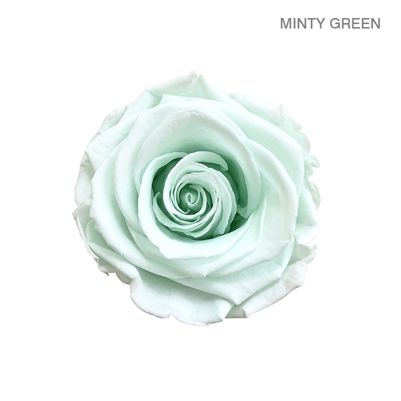 EVER BLOOM 16