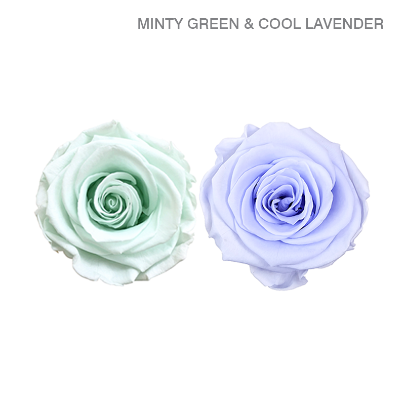 EVER BLOOM 25