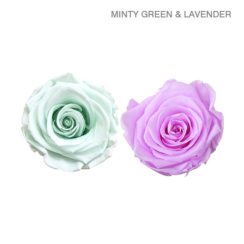 EVER BLOOM 25