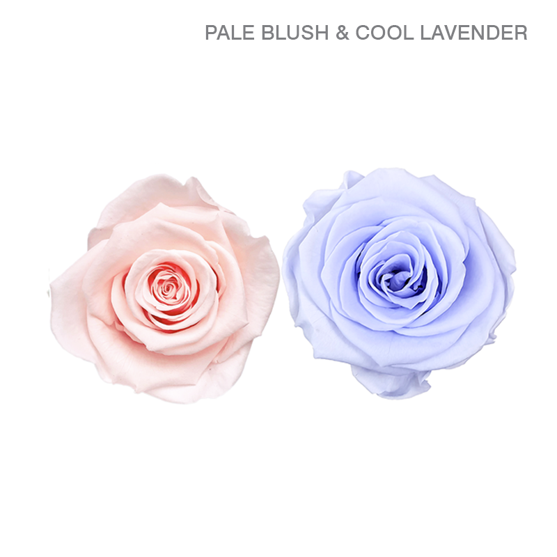 EVER BLOOM 9