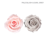 ROSE ETERNAL 4