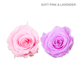 EVER BLOOM 4