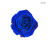 EVER BLOOM ONE