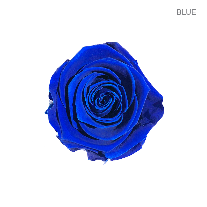 EVER BLOOM 9