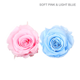 Forever Rose