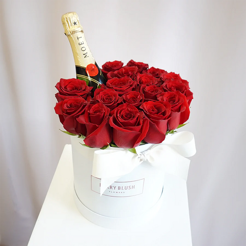 Rose Champagne [V-Day]