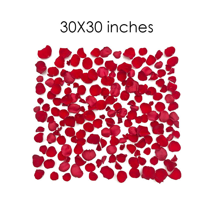 Rose Petal