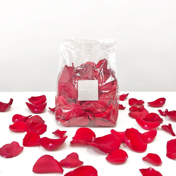 Rose Petal