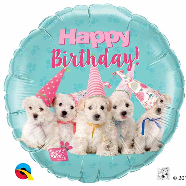 18" STUDIO PETS BIRTHDAY PUPPIES