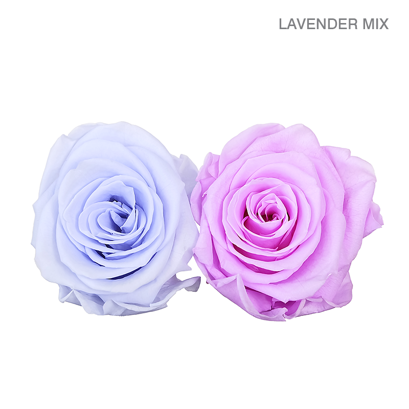 EVER BLOOM 9