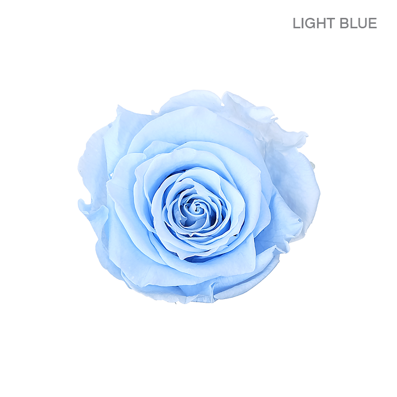 EVER BLOOM 25