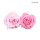 Forever Rose